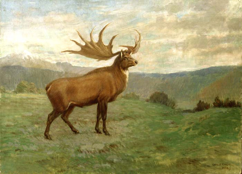 Gemälde Riesenhirsch