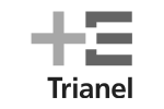trianel-logo-grey